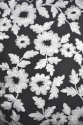 W33629 PRONOVIAS