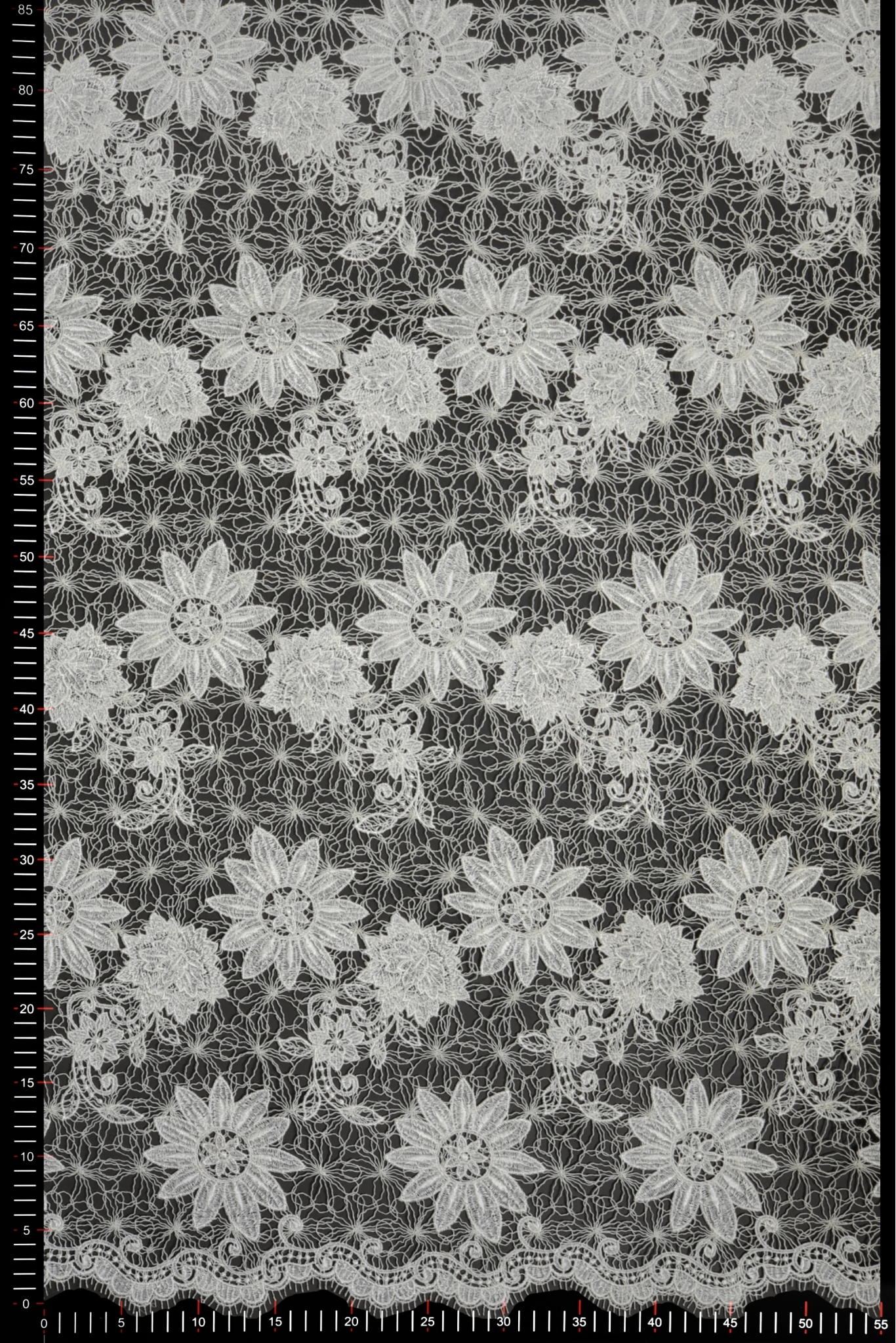 W31329 GIPIURA