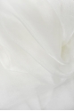 Shining Organza