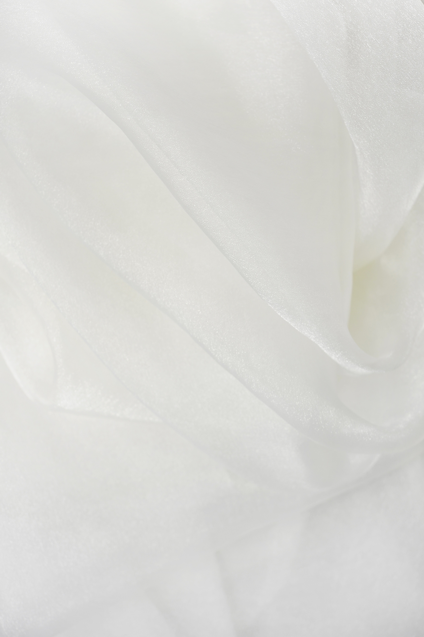 Shining Organza