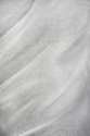 Shining Organza