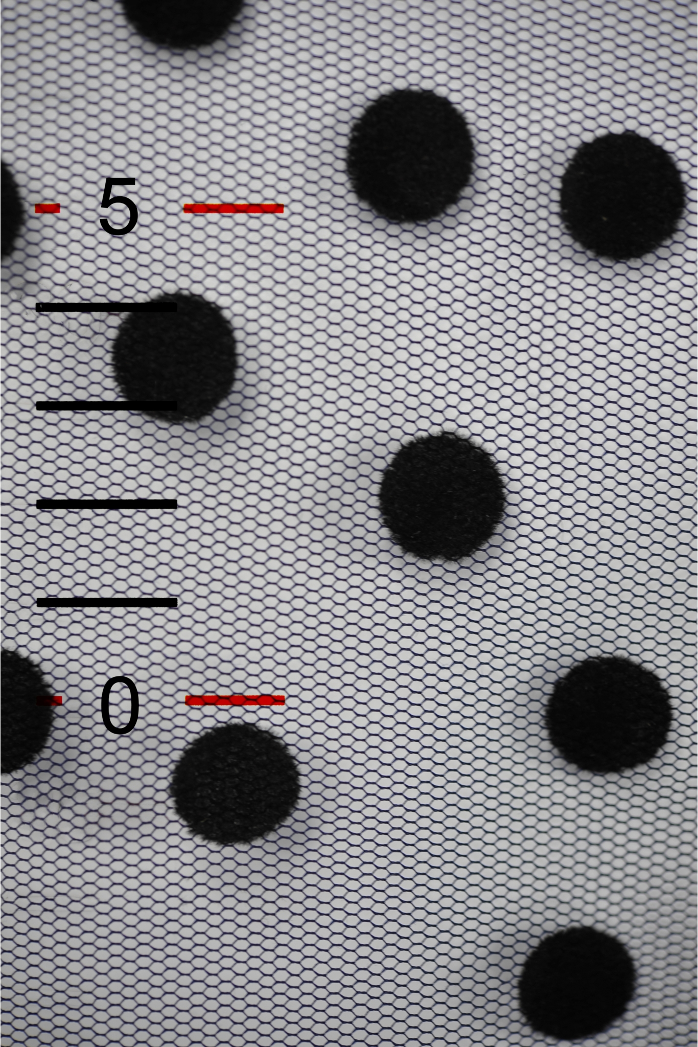 SH2495 TIUL W KROPKI