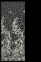 W52599