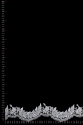 WT13809