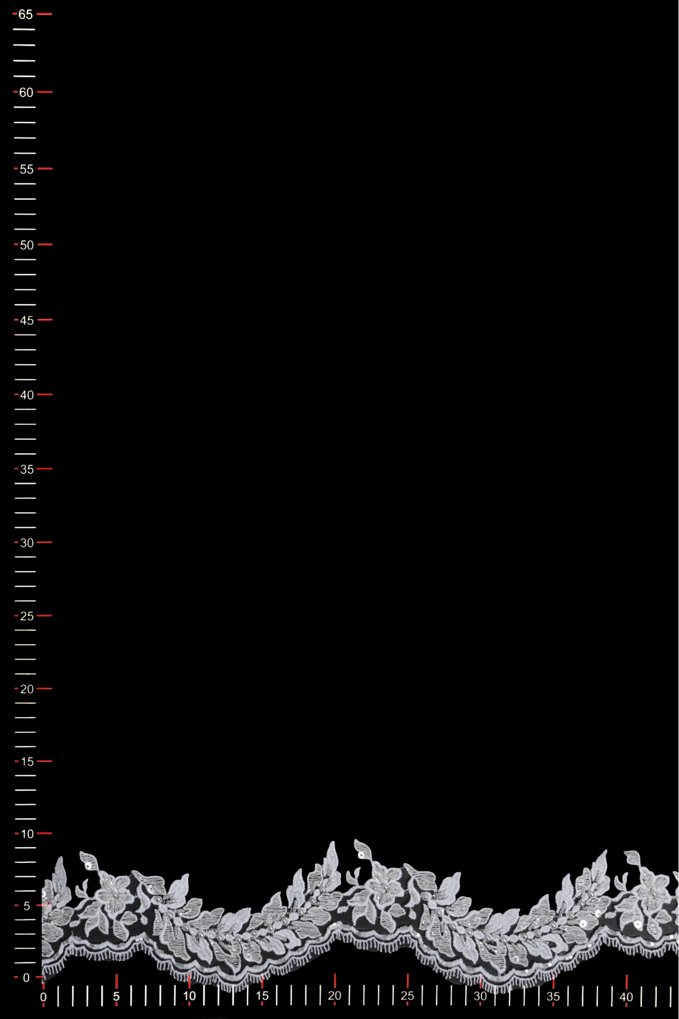 WT13809