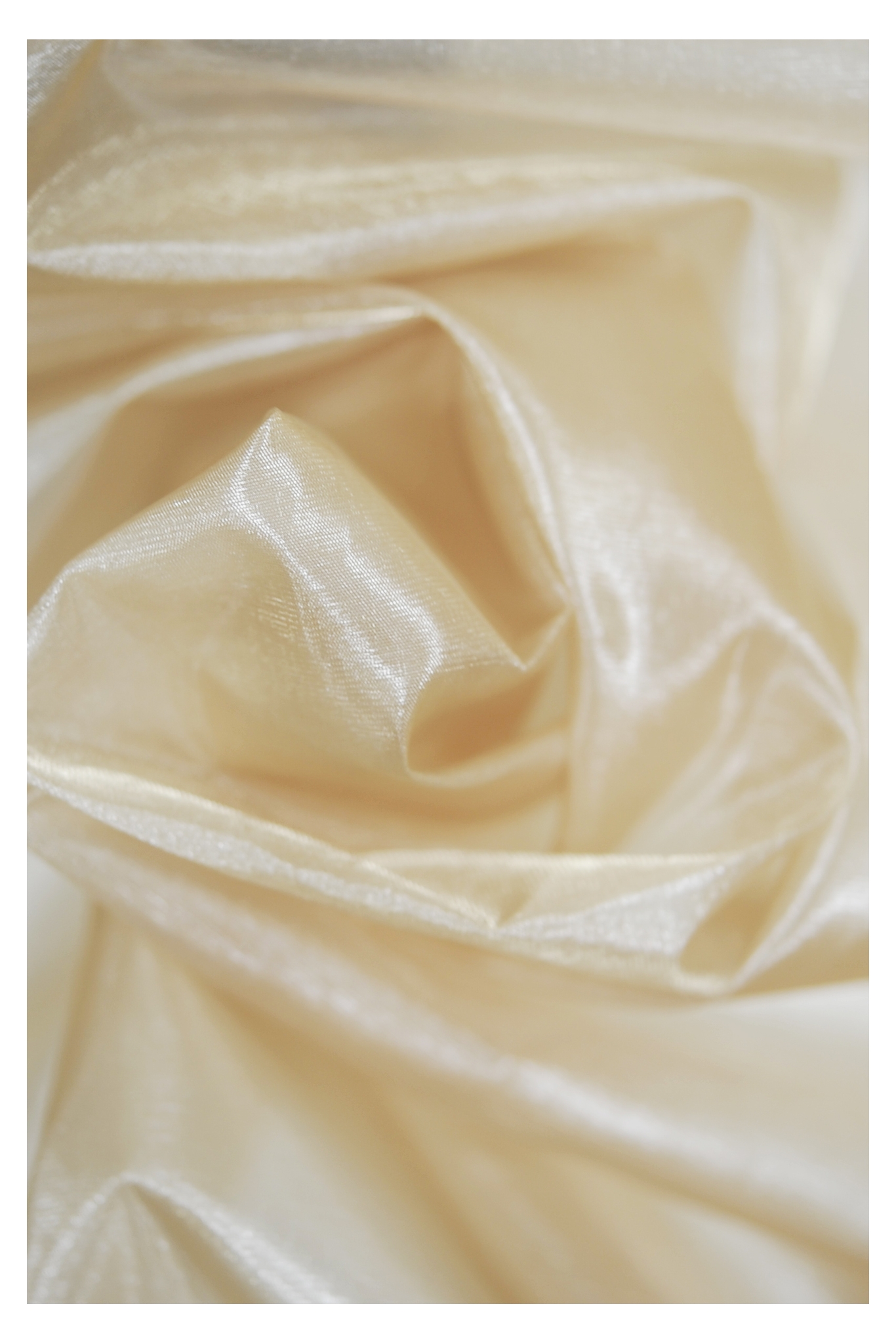 Dünn Organza Taft
