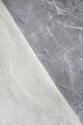 SHINING ORGANZA