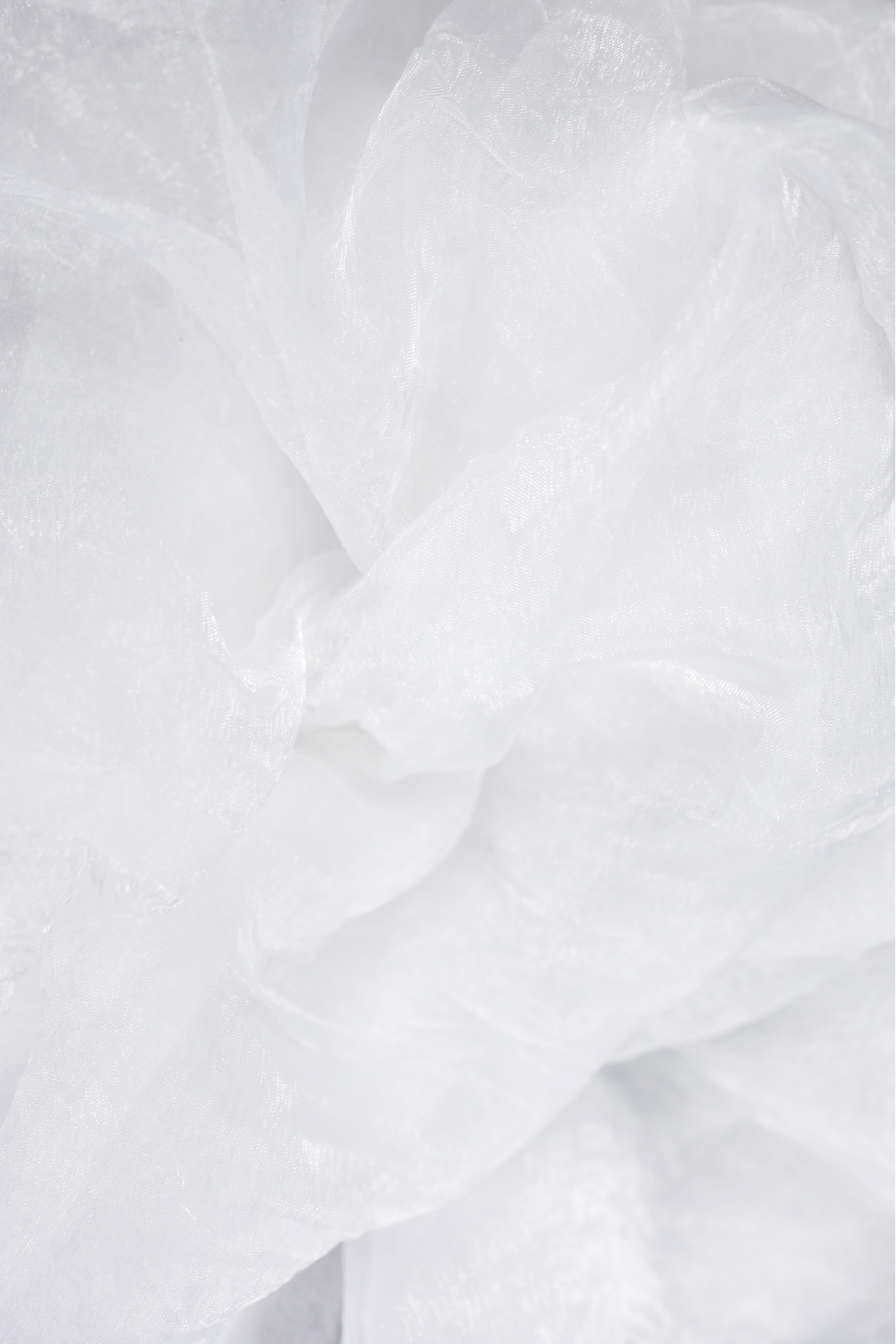 SHINING ORGANZA