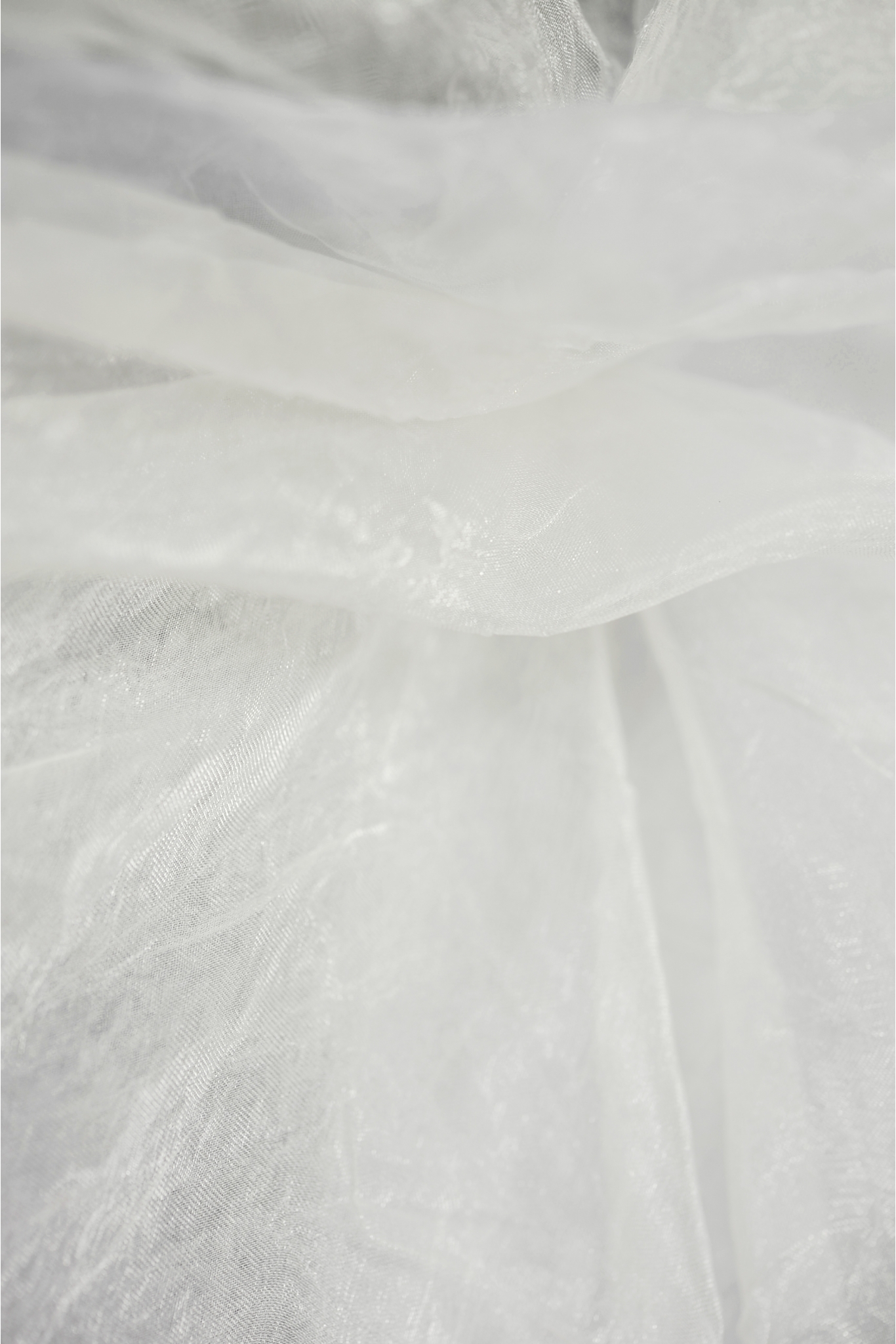 SHINING ORGANZA