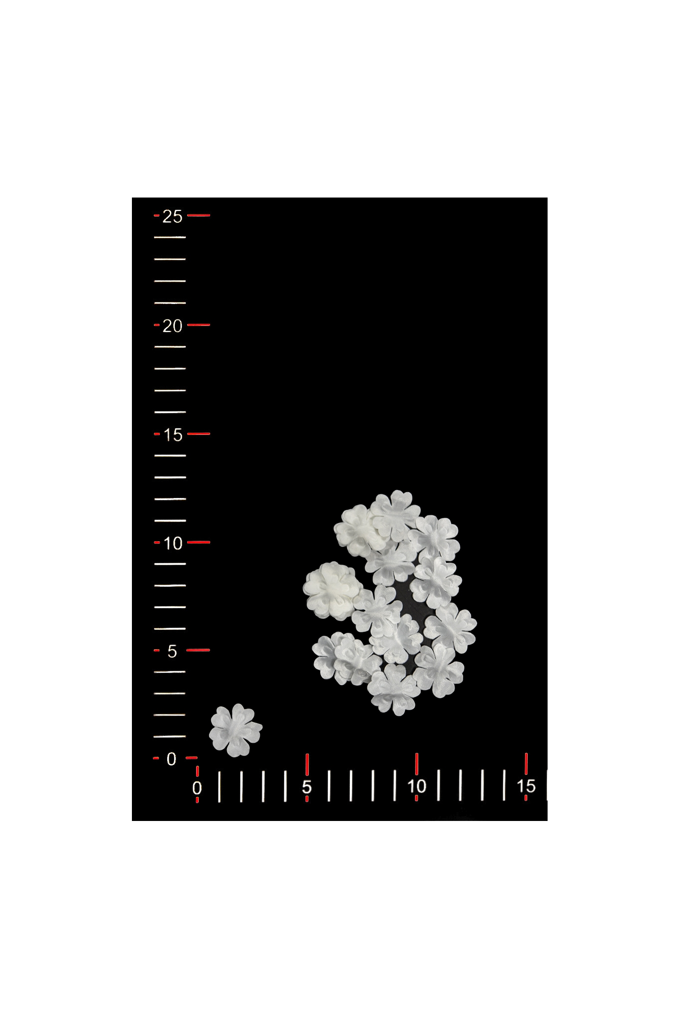 BLUMEN 003-1