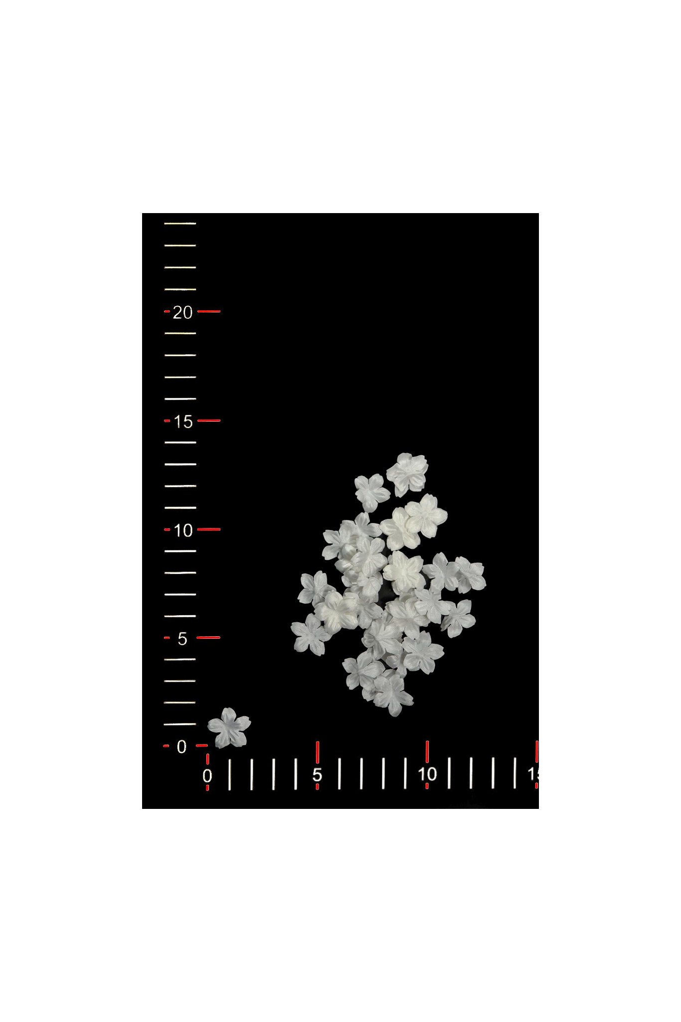 BLUMEN 004-2