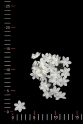 KWIAT 006-1