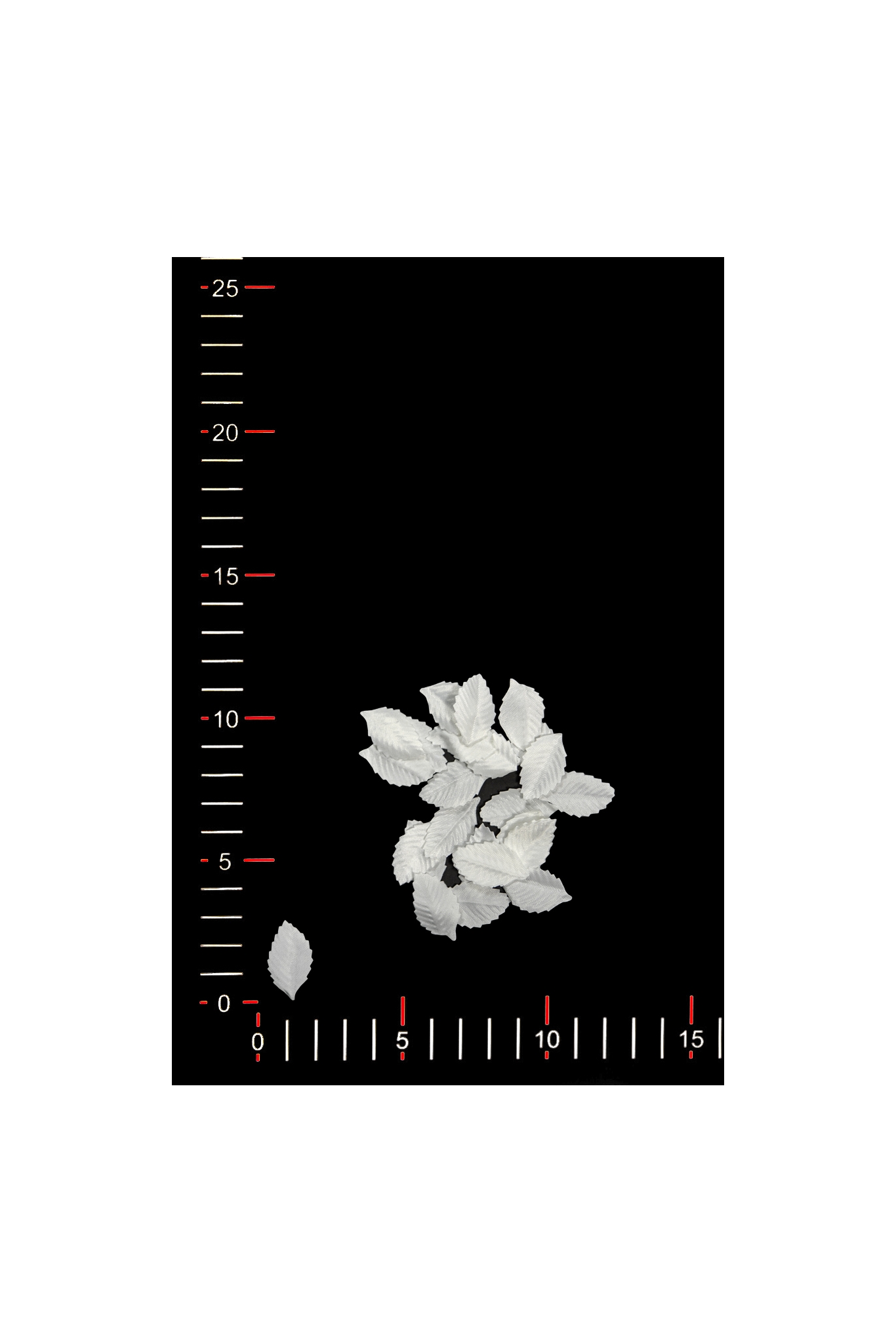 BLUMEN 014