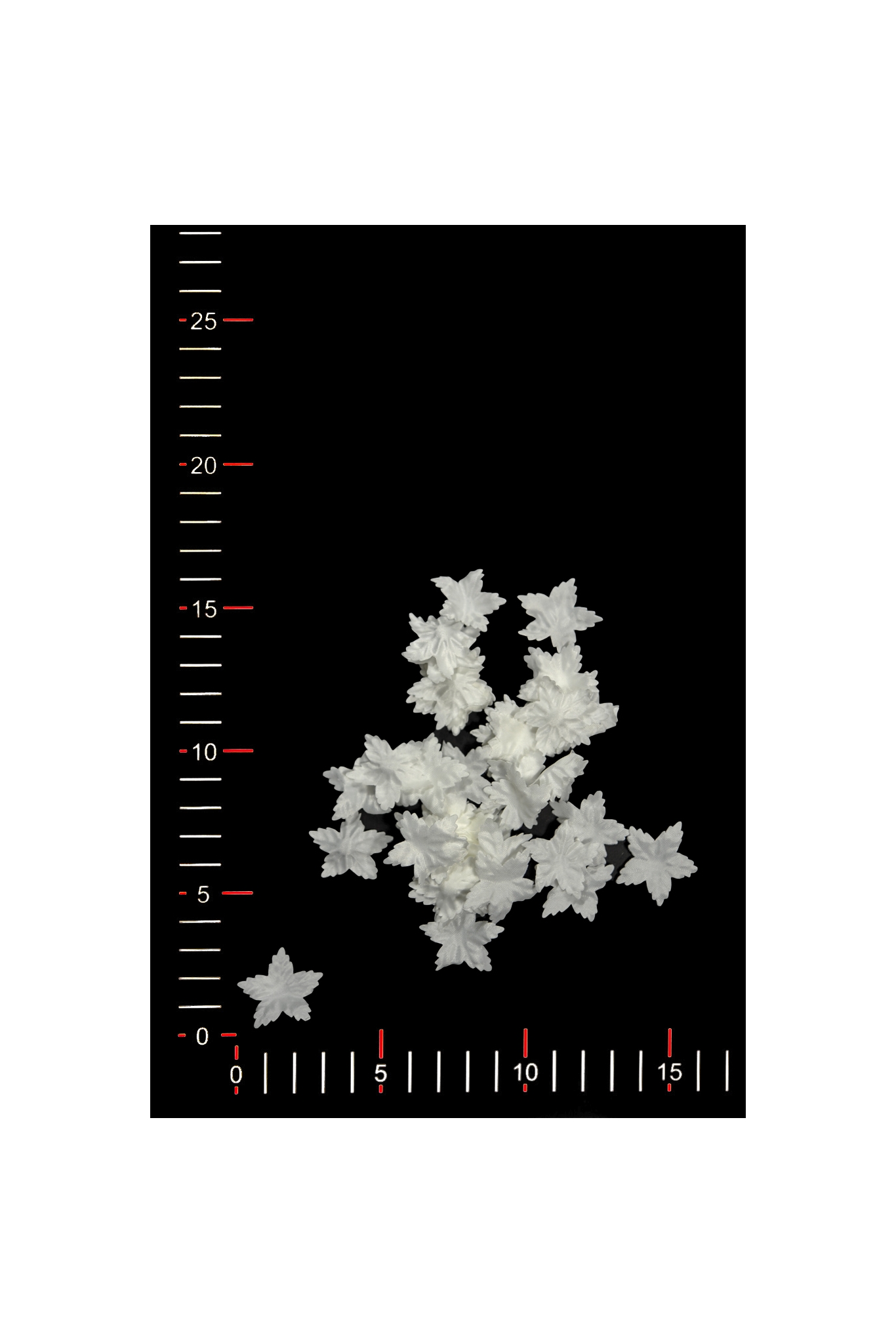 BLUMEN 027