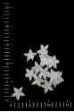 FLOWER 028