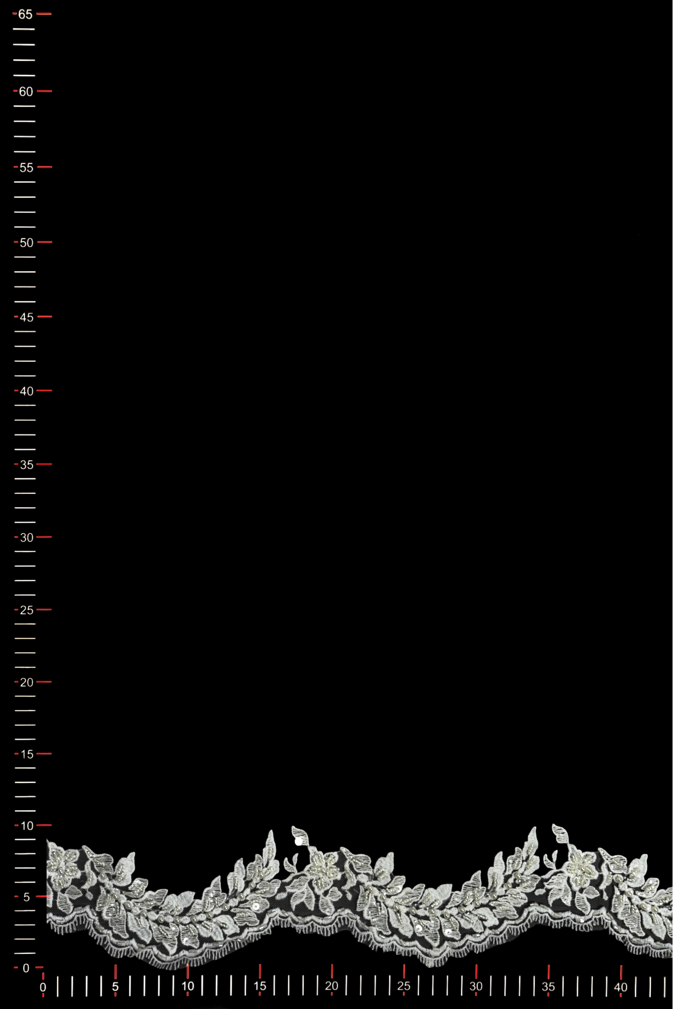 WT13809