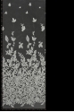 W52567