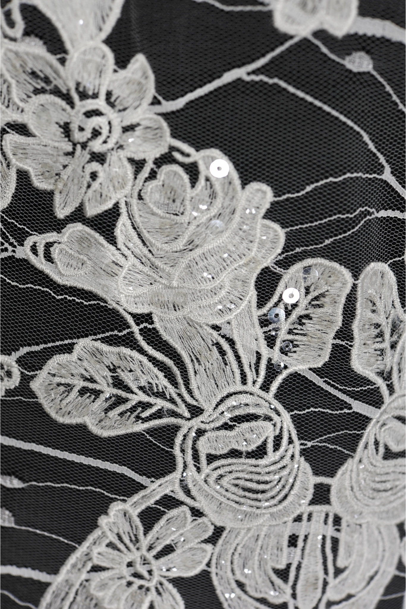 W52577