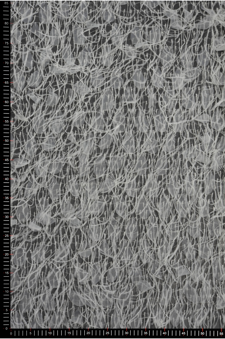 VL60629 OSTRICH FEATHERS