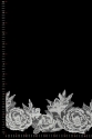WT13849