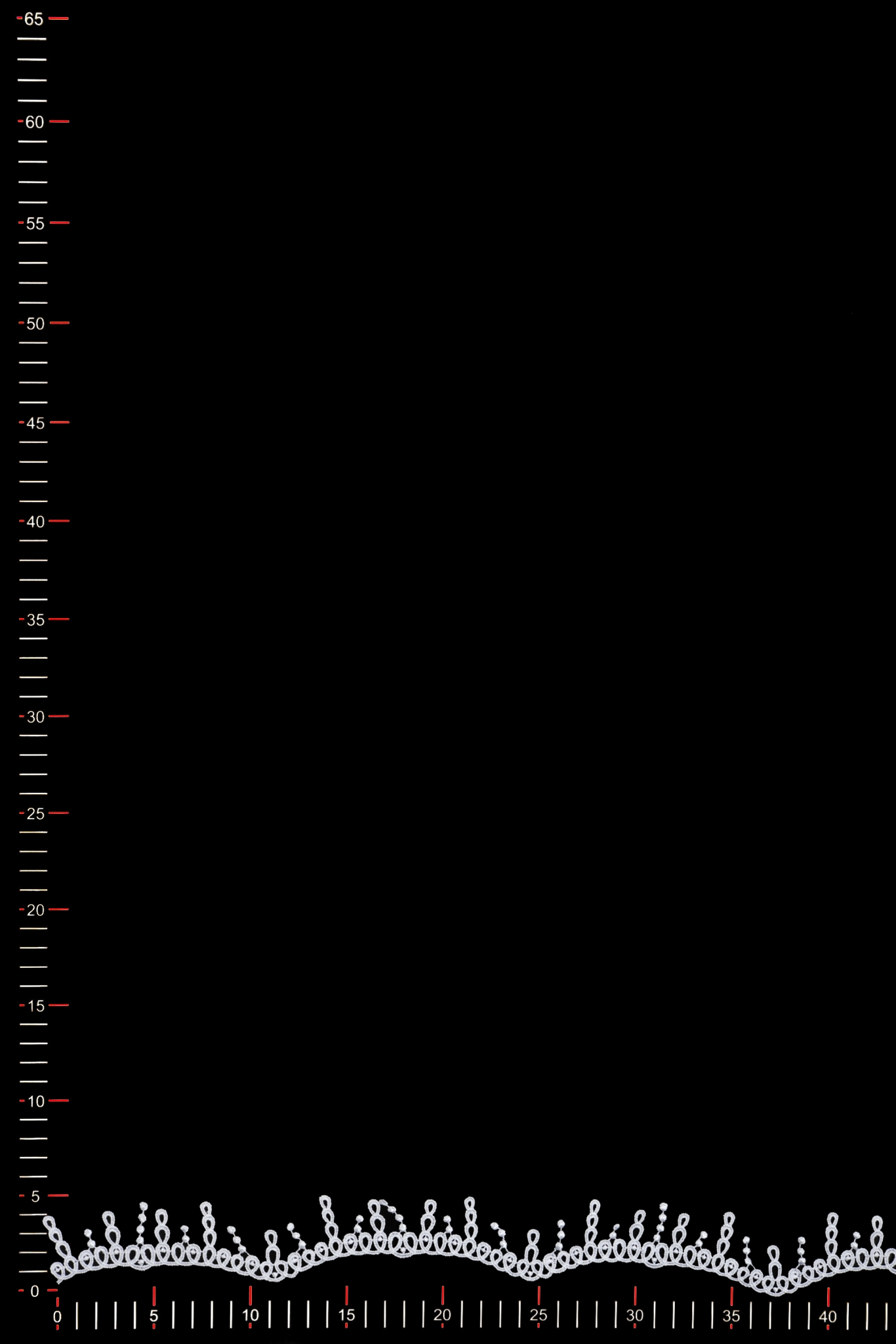 WT12861