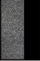 ML474