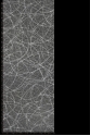 ML474