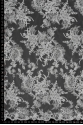 ML501747