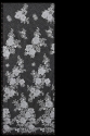 ML501474