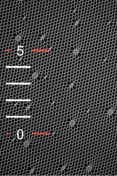  ITALIAN DOTS MAT TULLE