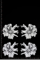 ML78582 PARA