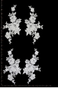 ML78884 PARA