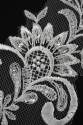 ML91894