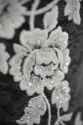 ML502051