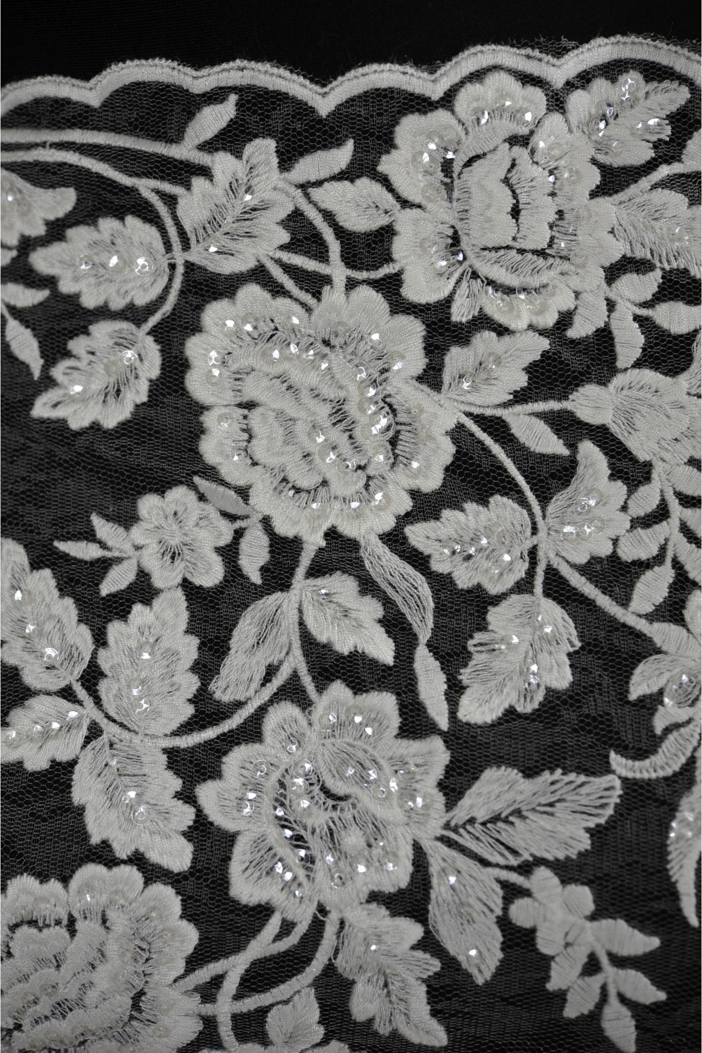 ML502051