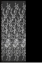 W52623