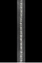 WT3250