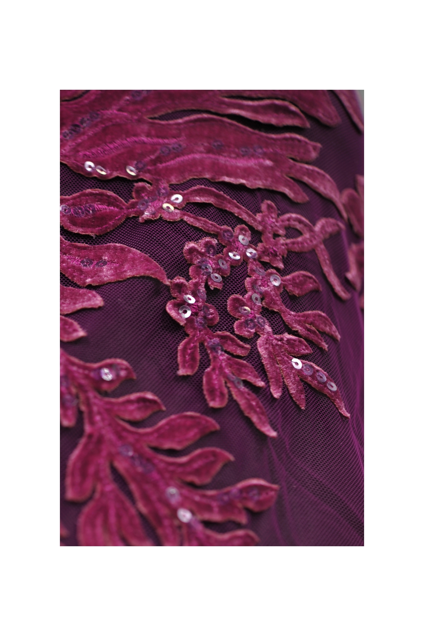 W51116 PURPLE