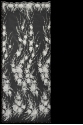 M492825