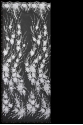 M492825