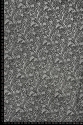 ML525