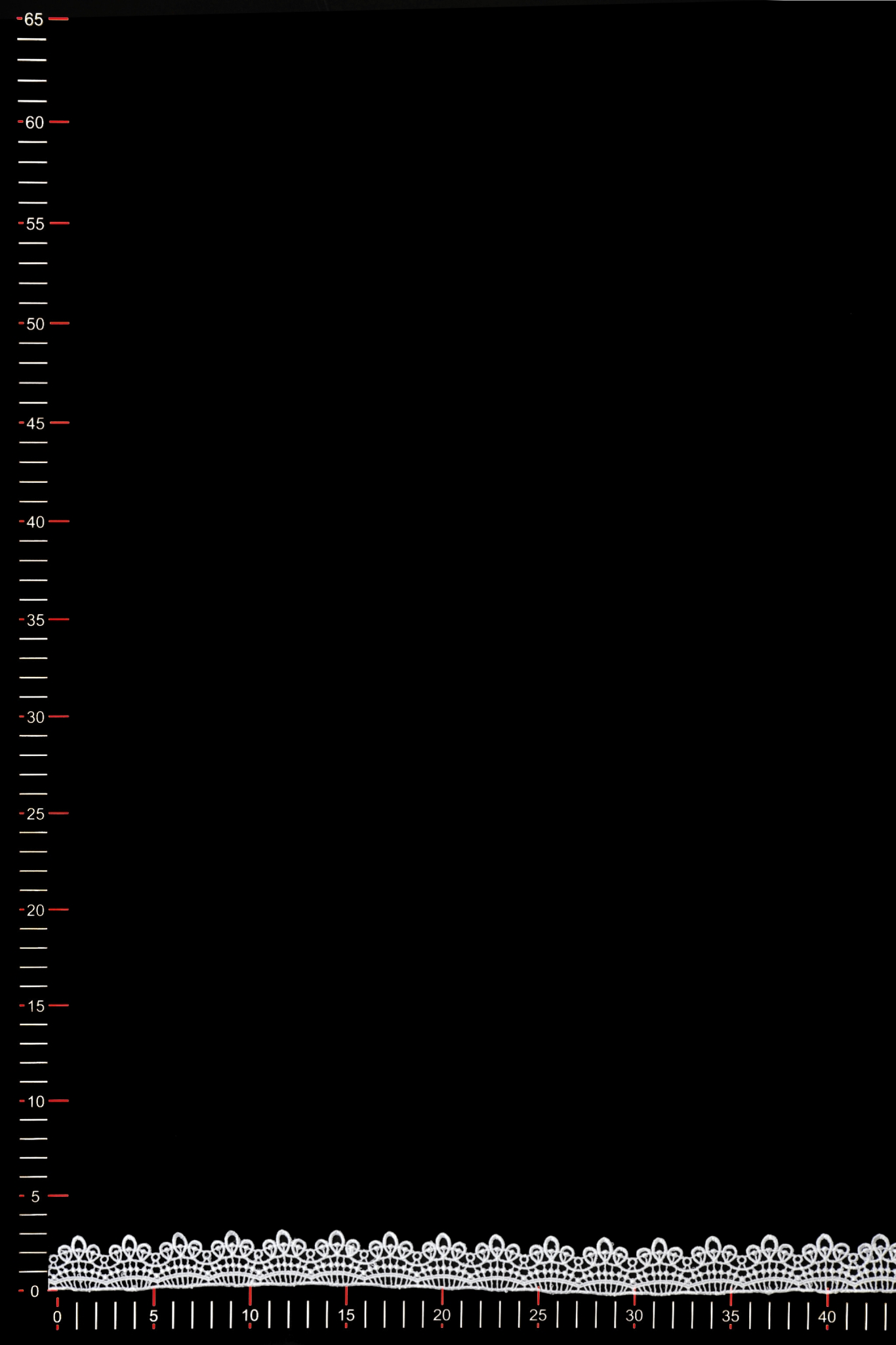 FT7B4580
