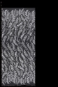 BRAUTSPITZE 3D VL1904703