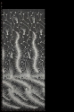 BRAUTSPITZE 3D 3D VL19031022 PIÓRA STRUSIE