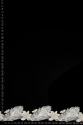 ML92296