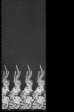VL5195 TAŚMA