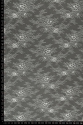 VL0668