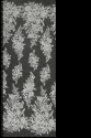 W32545