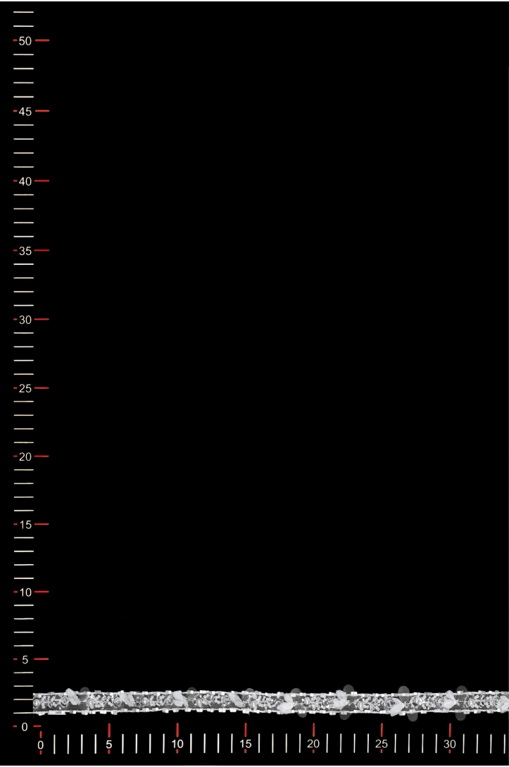 WT11529