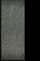YOL00416